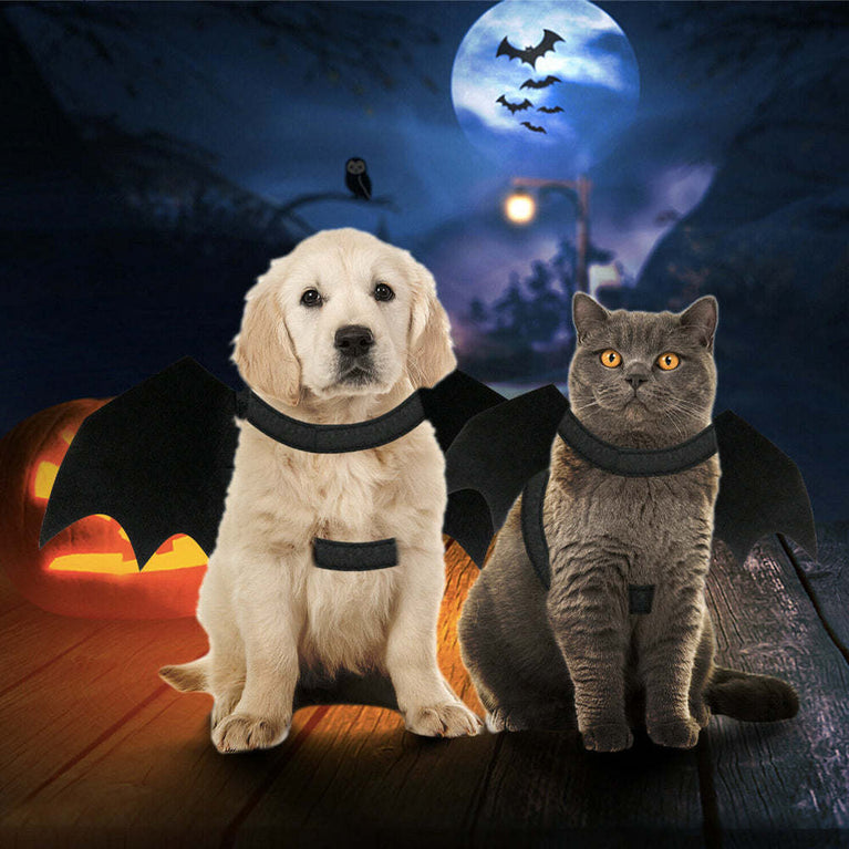 Halloween Pet Bat Wings Costume Cat and Dogs